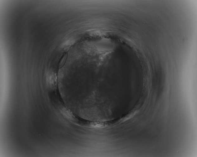 X0000085220624200703091201