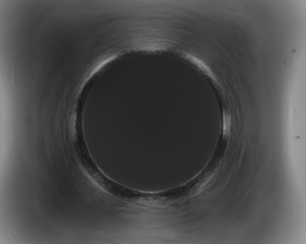 X0000085220627200703091201