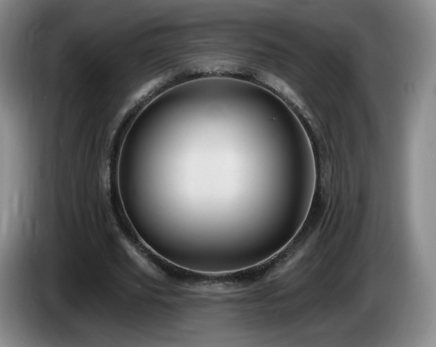 X0000085220629200703091201
