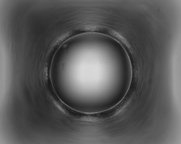 X0000085220633200703091201