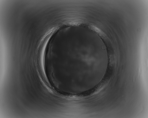 X0000085220634200703091201