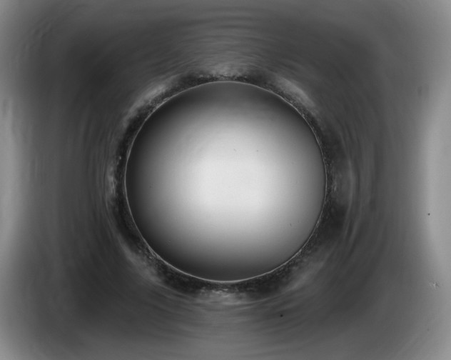 X0000085220635200703091201