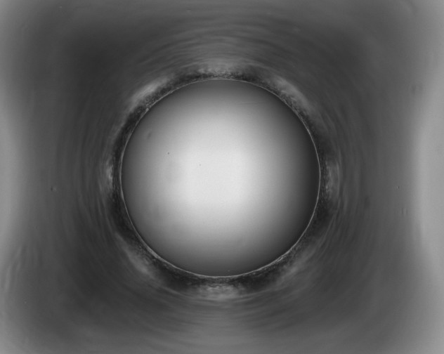 X0000085220636200703091201