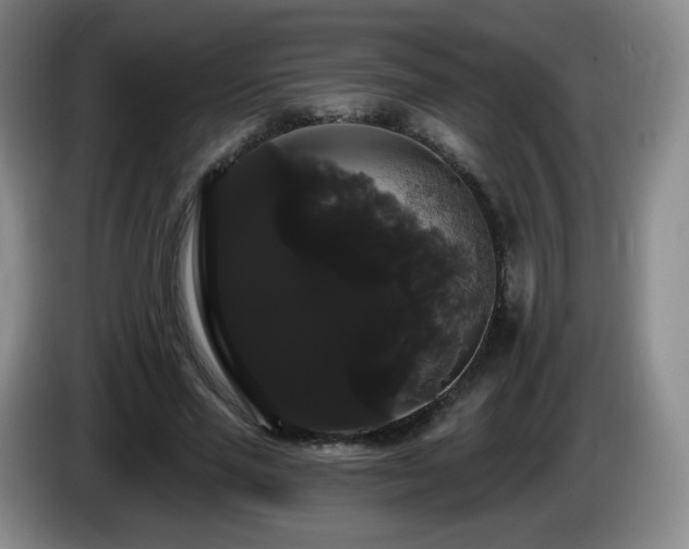 X0000085220637200703091201