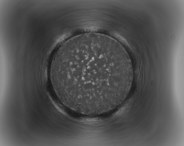 X0000085220638200703091201