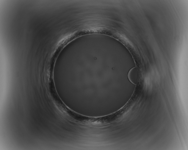 X0000085220640200703091201