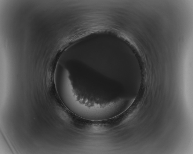 X0000085220641200703091201