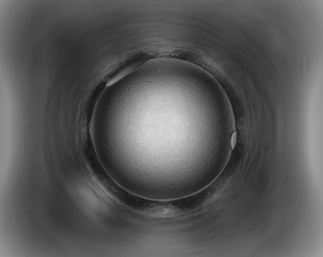 X0000085220642200703091201