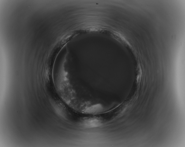 X0000085220643200703091201
