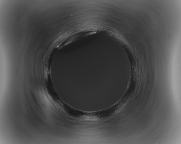 X0000085220644200703091201