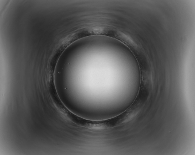 X0000085220645200703091201