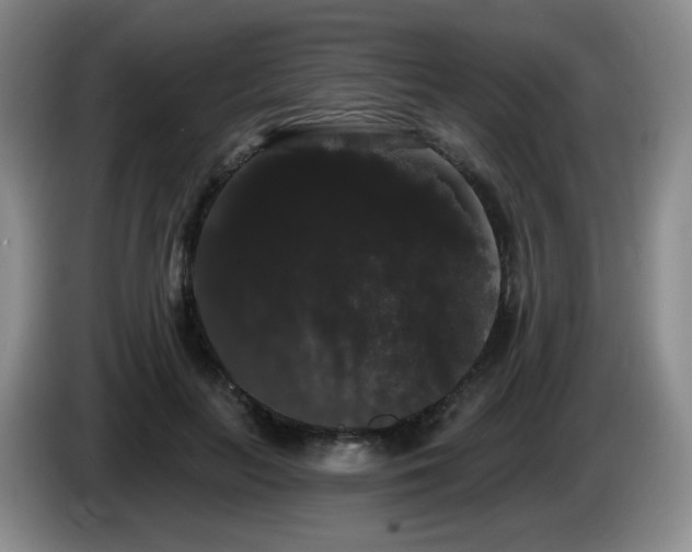 X0000085220647200703091201