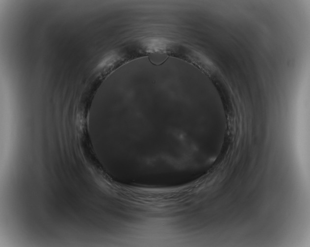 X0000085220648200703091201