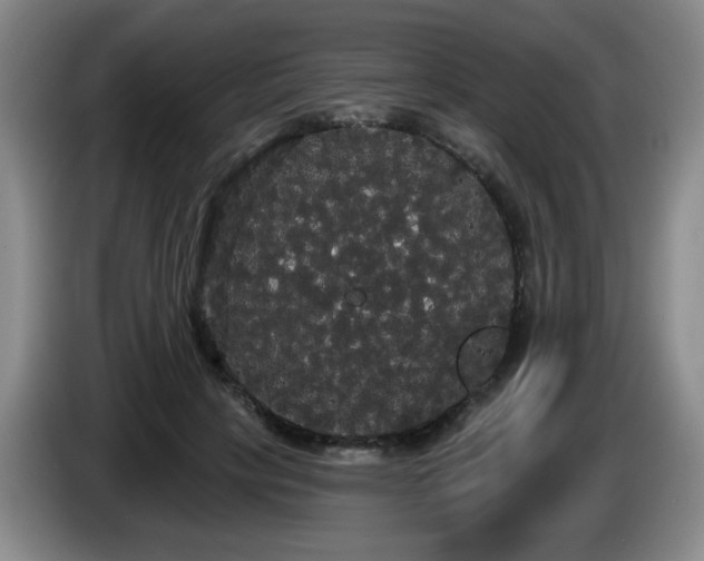 X0000085220649200703091201