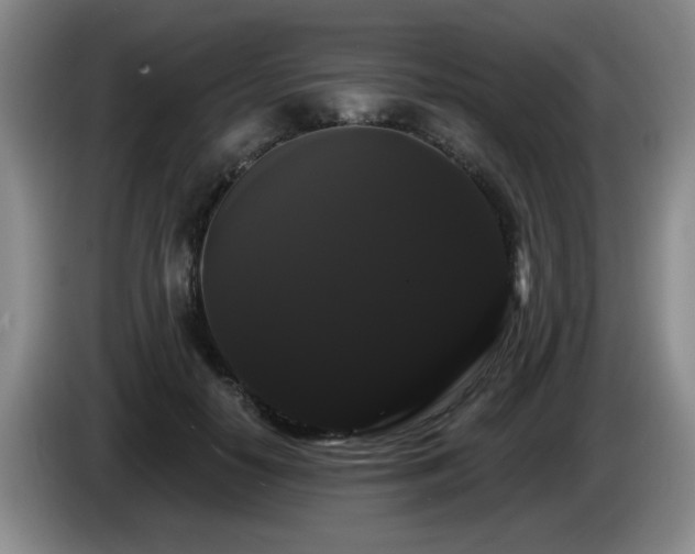 X0000085220650200703091201