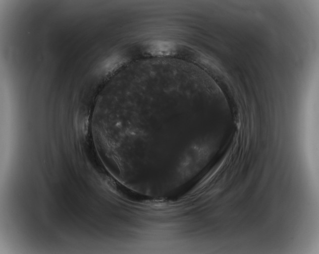 X0000085220652200703091201