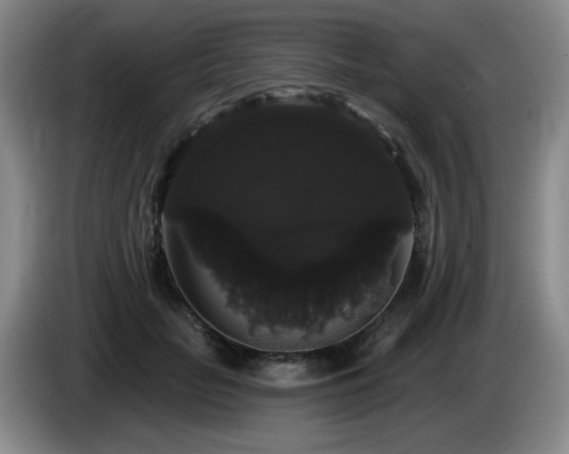 X0000085220653200703091201