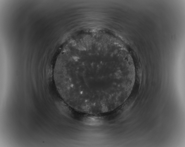 X0000085220657200703091201