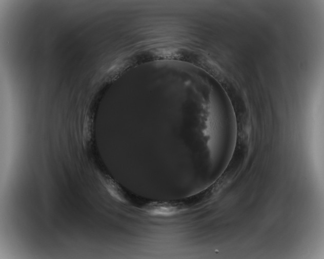 X0000085220658200703091201