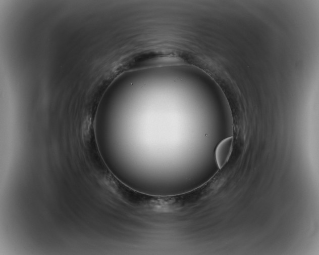 X0000085220660200703091201