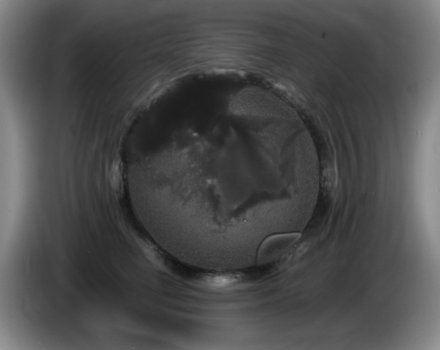 X0000085220662200703091201