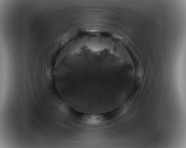 X0000085220663200703091201