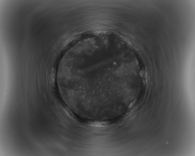 X0000085220664200703091201