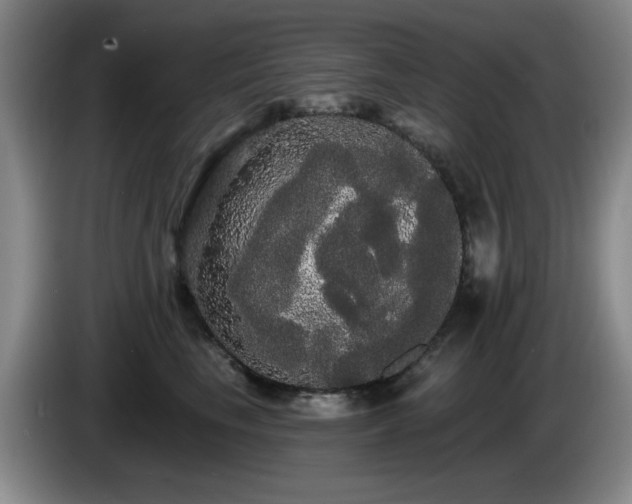 X0000085220665200703091201