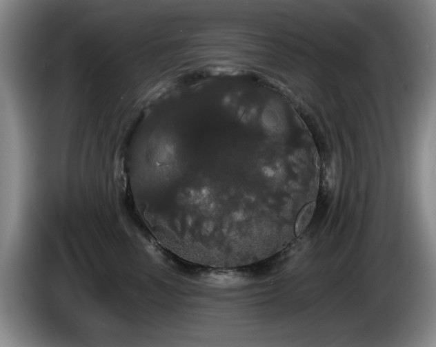 X0000085220666200703091201