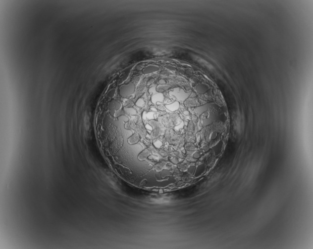 X0000085220667200703091201