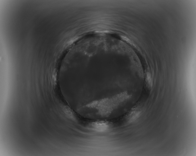 X0000085220668200703091201