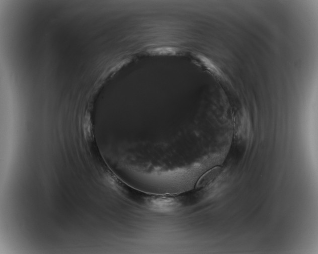 X0000085220669200703091201