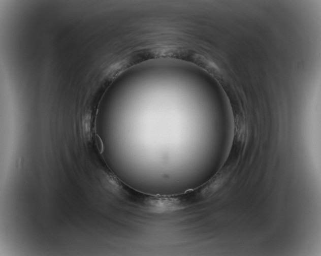X0000085220670200703091201