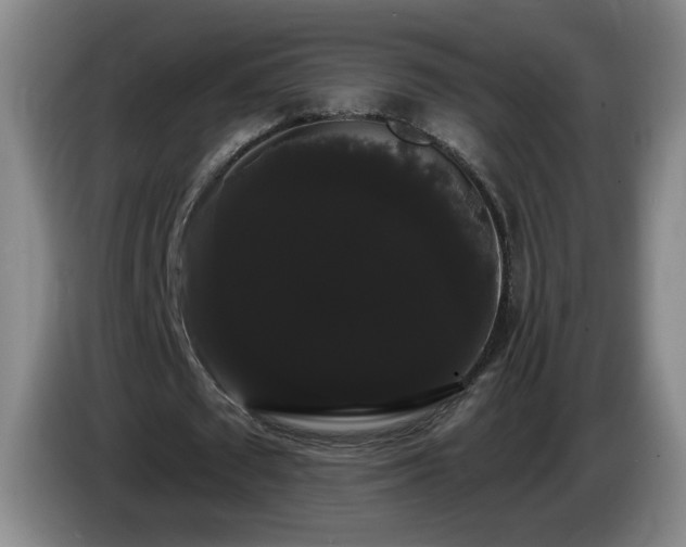 X0000085220673200703091201