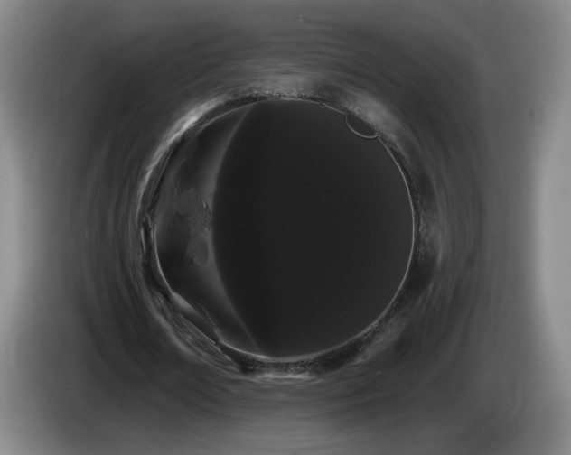 X0000085220674200703091201