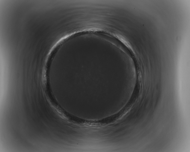 X0000085220676200703091200