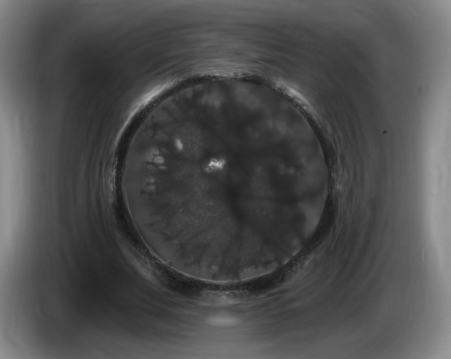 X0000085220679200703091200