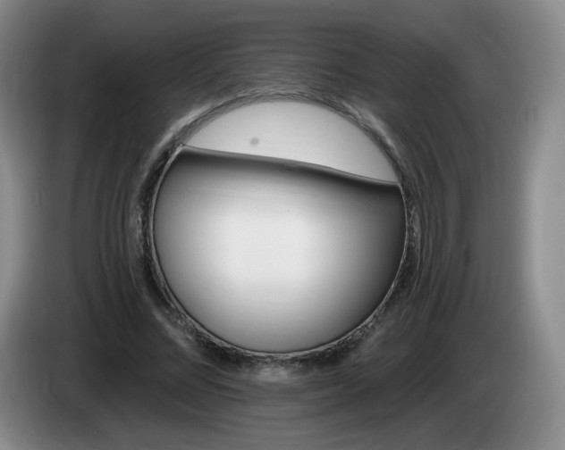 X0000085220684200703091200