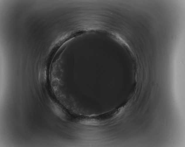X0000085220685200703091200