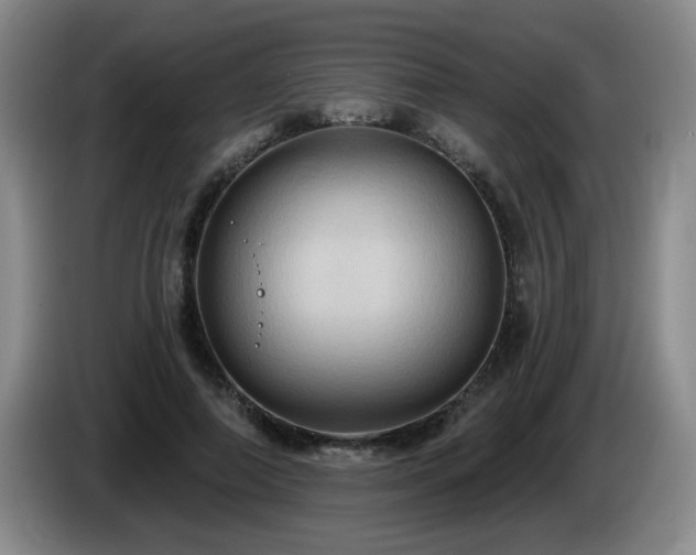 X0000085220690200703091200