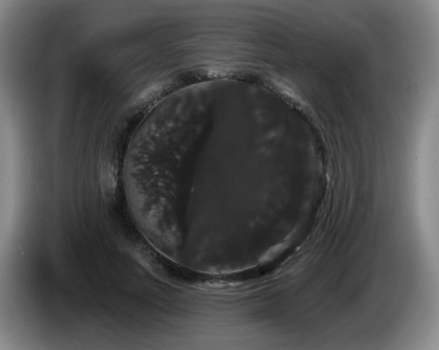 X0000085220691200703091200