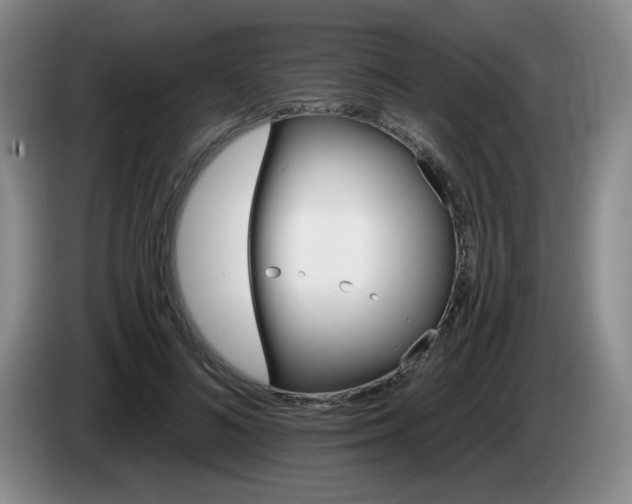 X0000085220692200703091200