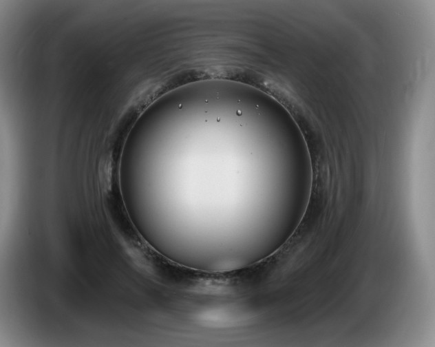 X0000085220694200703091200