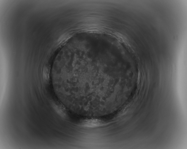 X0000085220695200703091200