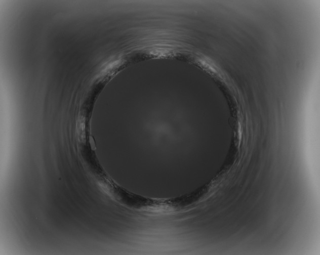 X0000085220696200703091200
