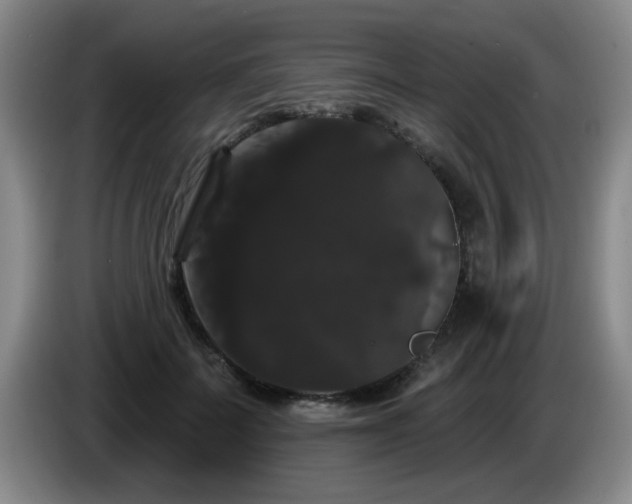 X0000085220699200703091200
