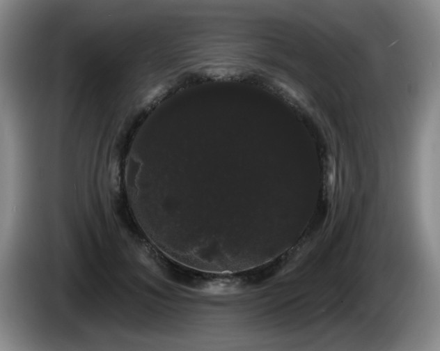 X0000085220700200703091200