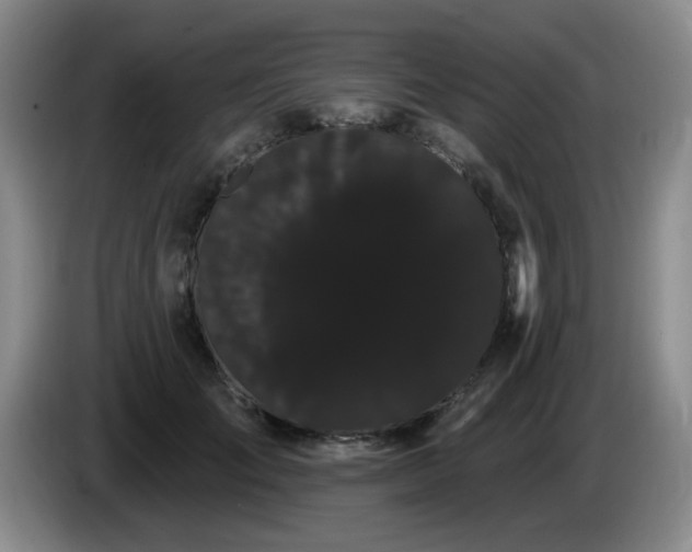 X0000085220701200703091200