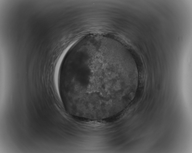 X0000085220703200703091200