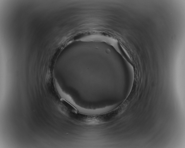 X0000085220704200703091200